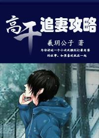 高干,追妻攻略