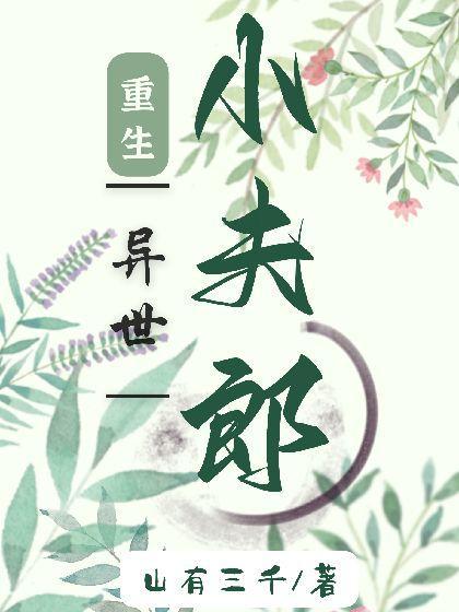 重生异世小夫郎