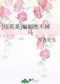 [综英美]蝙蝠绝不掉马