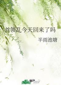 首领乱今天回来了吗
