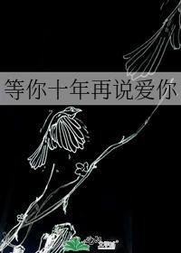 等你十年再说爱你