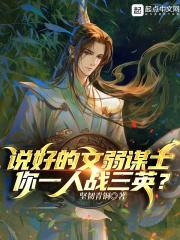说好的文弱谋士,你一人战三英?