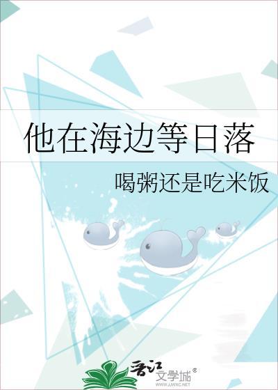 他在海边等日落