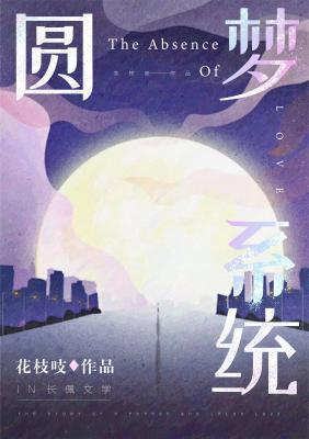圆梦系统