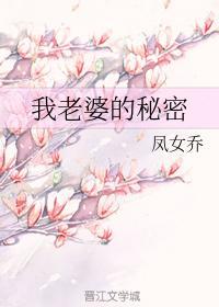 我老婆的秘密