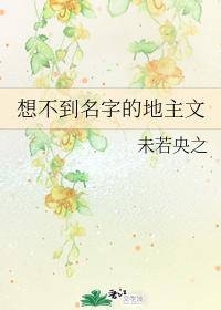 想不到名字的地主文