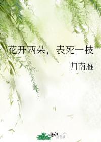 花开两朵,表死一枝