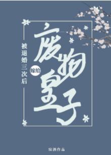 被退婚三次后,我嫁给了废物皇子