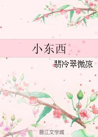 小东西
