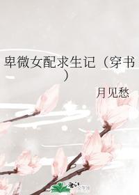 卑微女配求生记