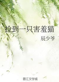 捡到一只害羞猫