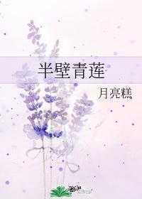 半壁青莲