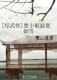 [综武侠]楚小姐寂寞如雪